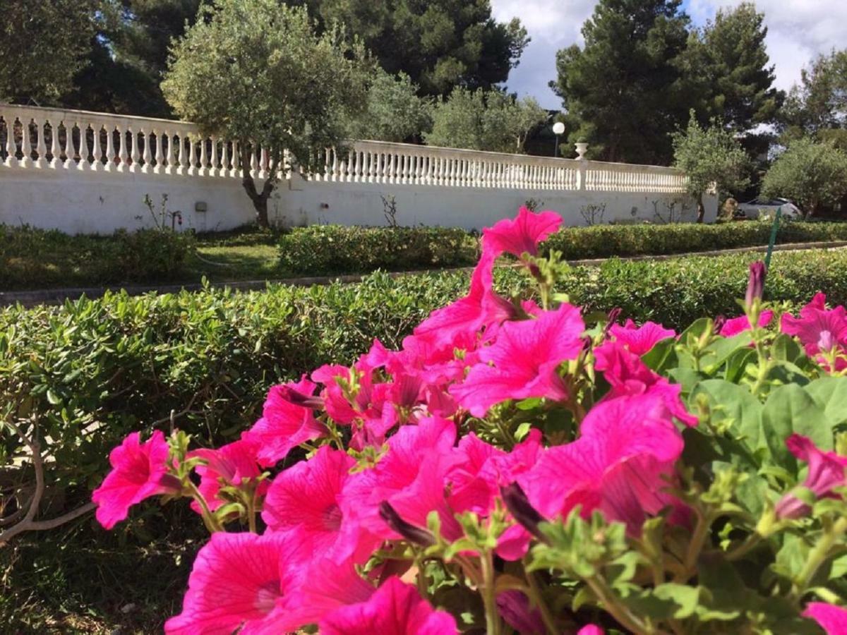 Villa Nunziatella Badia Trappeto  Eksteriør bilde
